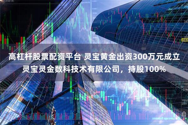 高杠杆股票配资平台 灵宝黄金出资300万元成立灵宝灵金数科技术有限公司，持股100%