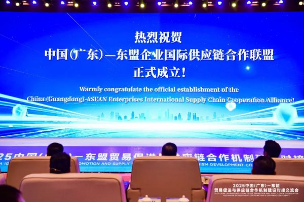 实盘配资网眼查 【协会动态】协会领导应邀出席2025中国（广东）-东盟贸易促进与供应链合作机制建设对接交流会